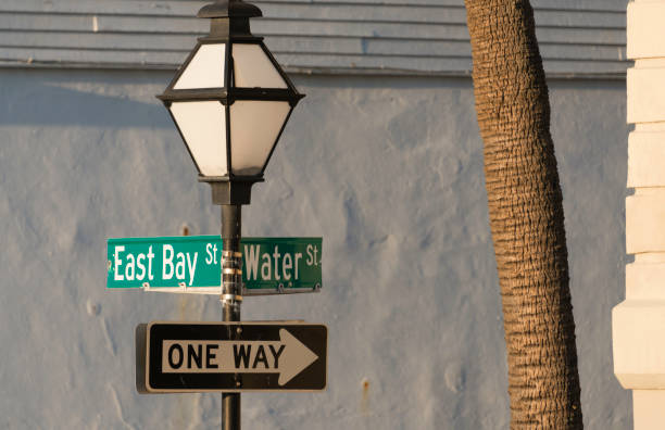 istock Historic Charleston, South Carolina 946215682