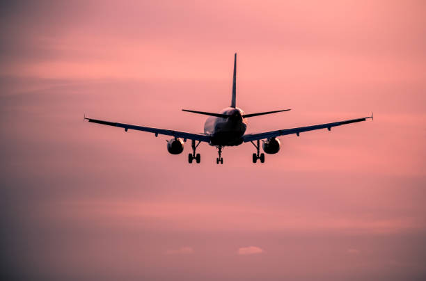 istock Airplane landing at sunset 946233588