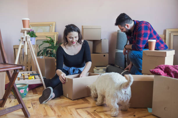istock I want to help,I want to play 946239868