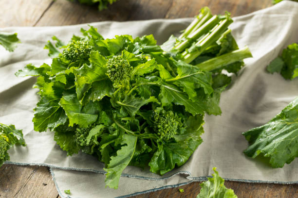 сырье зеленый органический брокколи рабе - broccoli raab стоковые фото и изображения