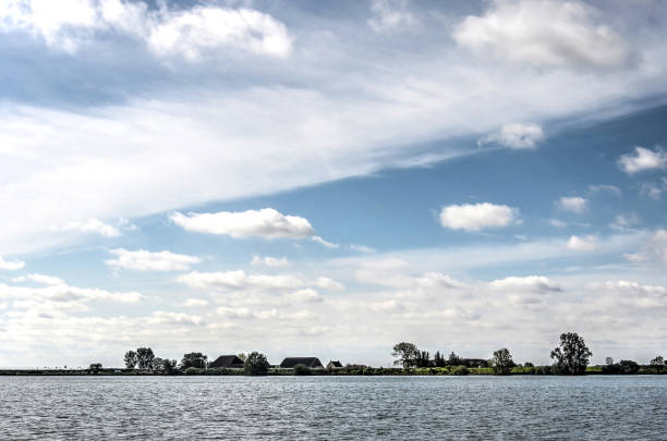 Skyline of a nature island Some trees and farms are protruding above the dike around the nature island of Tiengemeten, The Netherlands as seen from Haringvliet estuary. tiengemeten stock pictures, royalty-free photos & images