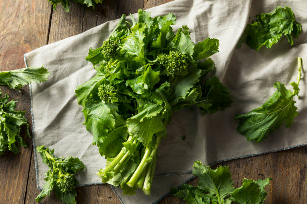 сырье зеленый органический брокколи рабе - broccoli raab стоковые фото и изображения