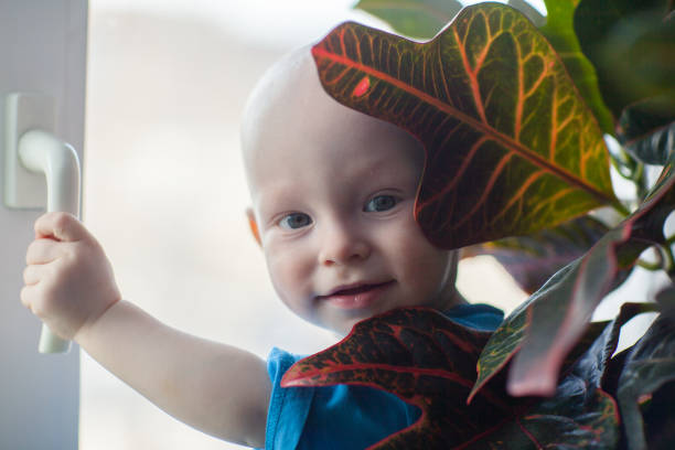 A little boy on the window peeks out from behind the leaves of the plant