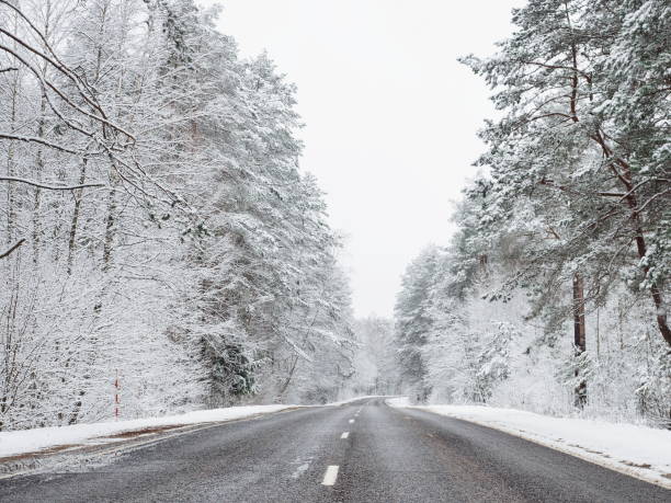 istock Highway in a snowy forest 946251836
