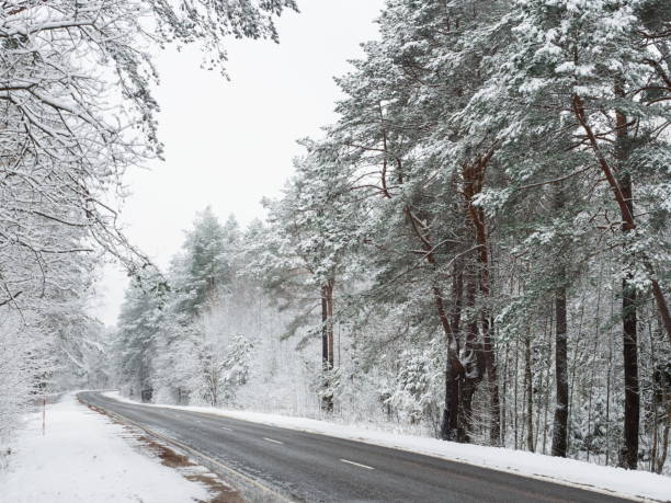 istock Highway in a snowy forest 946252046