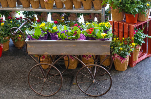 春 - 鉢植えなばらの棚の前で鉢花の完全なガーデン ワゴン - 選択的なフォーカスのための準備 - florist supermarket flower bouquet ストックフォトと画像