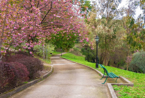 rzym (włochy) - ogród botaniczny uniwersytetu sapienza - janiculum zdjęcia i obrazy z banku zdjęć