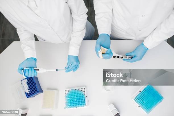 Working With Test Tubes At The Laboratory Stock Photo - Download Image Now - Adult, Adults Only, Analyzing