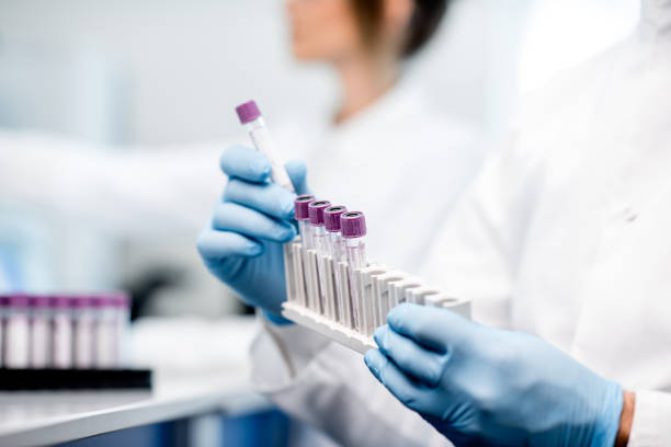 Putting test tubes into the holder Laboratory assistant putting test tubes into the holder, Close-up view focused on the tubes biology stock pictures, royalty-free photos & images