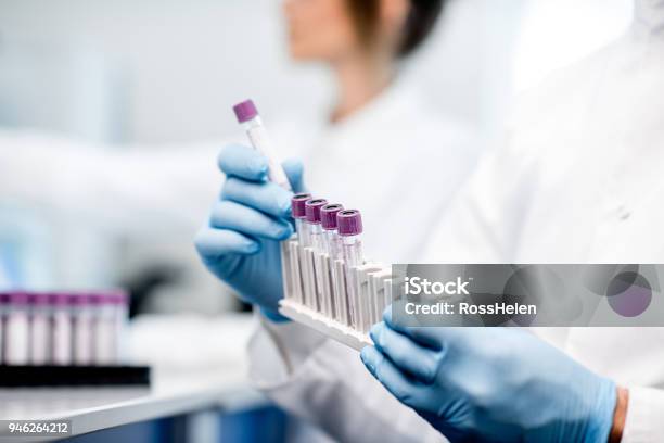 Putting Test Tubes Into The Holder Stock Photo - Download Image Now - Laboratory, Medical Exam, Healthcare And Medicine