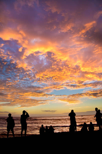 idyllic landscape on the beach in the afternoon