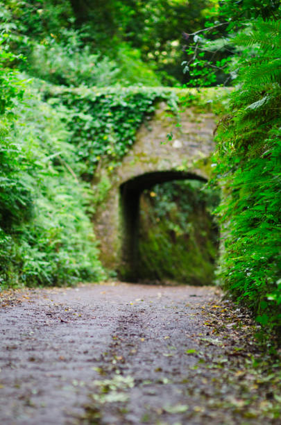 istock Stone Bridge over Green Country Lane 946267962