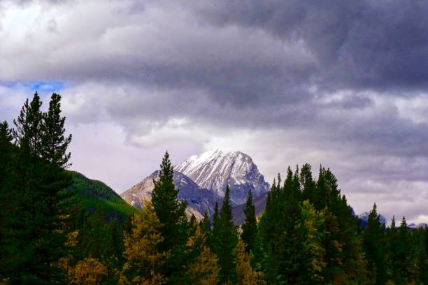 istock A stormy day above the Alberta Mountains 946268370
