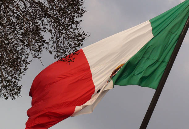 istock Mexican Flag Plus Tree Scene In Mexico City Mexico 946268556