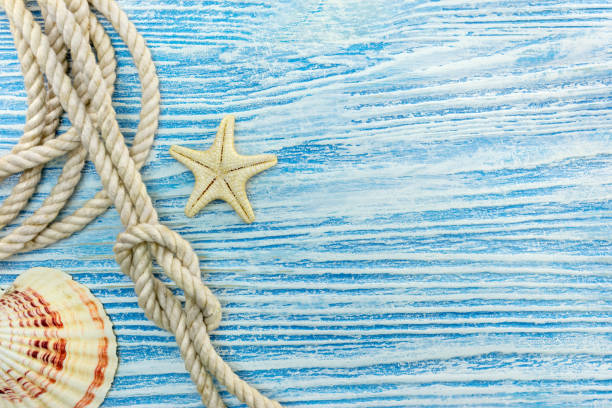 istock seashell and starfish, rope with knot on blue wooden background 946283020