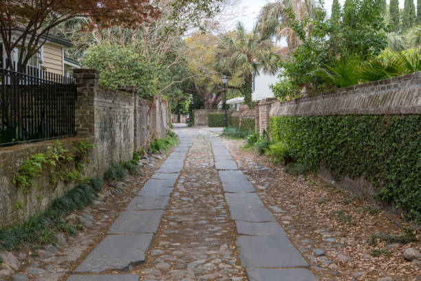 istock Ivy Covered Side Alley in Charleston 946283826