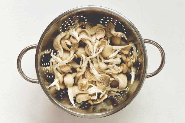 Fresh oyster mushrooms in the stainless steel colander. stock photo