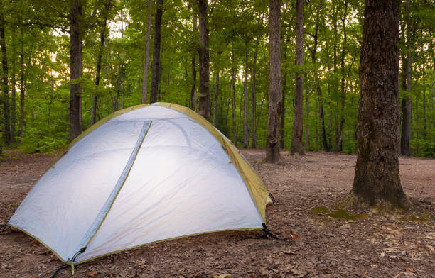 istock Tent on a forest in North Carolina 946290878
