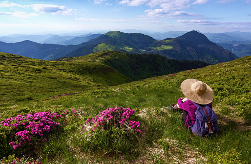 The girl in straw hat and with a back sack is sitting among the bushes of rhododendron flowers. The landscape with the high mountains. Green meadows. Sky with clouds.