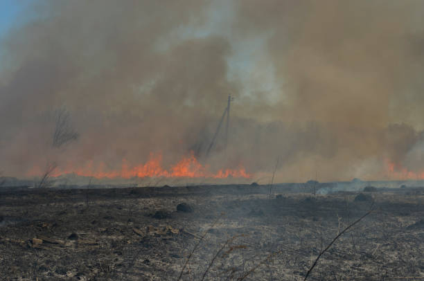 istock Burning grass in the field 946304980
