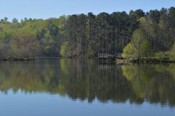 istock Lake and forest in springtime in Georgia 946309098
