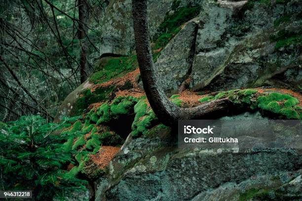 Carpathian Rock Formation Covered With Moss Stock Photo - Download Image Now - Atmospheric Mood, Awe, Beauty