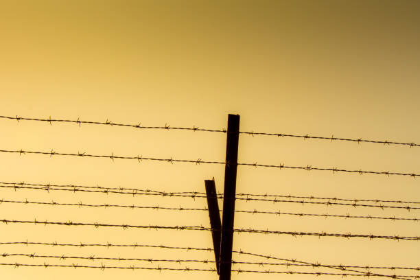 istock Low Angle View Of Silhouette Barricade Against Clear Sky During Sunset 946316760