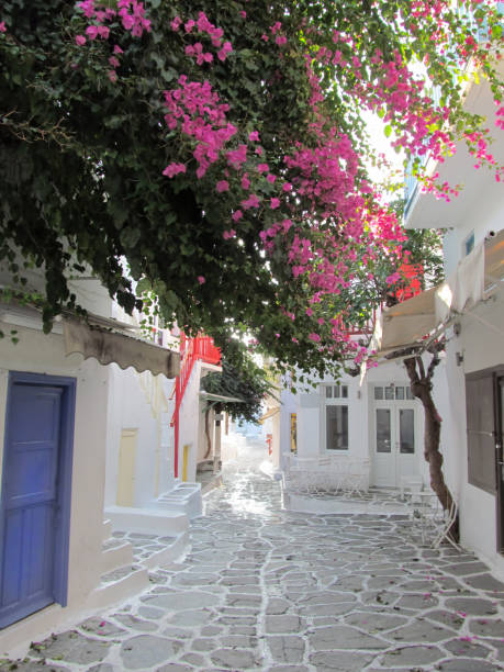 istock Mykonos Town in Winter 946316960