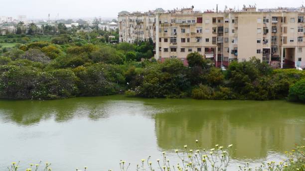 istock GARDEN /LAKE/FIRDAWS/CASA/MOROCCO 946326856