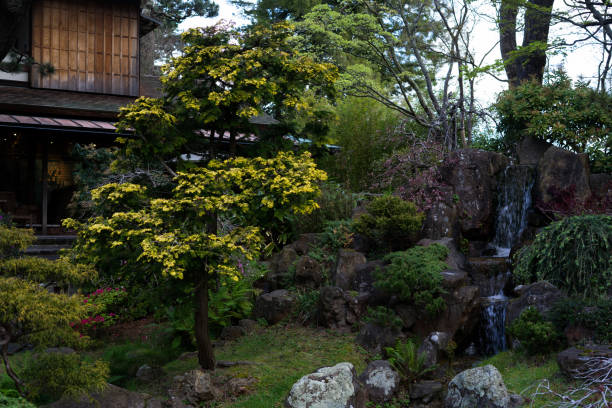 istock Stores in Japanese Tea Garden 946327054