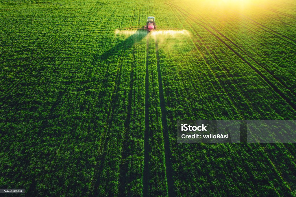 Aerial view of farming tractor plowing and spraying on big green field. Aerial drone view of farming tractor plowing and spraying on green field. Agricultural Field Stock Photo