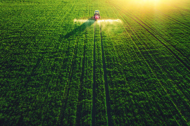 Aerial view of farming tractor plowing and spraying on big green field. Aerial drone view of farming tractor plowing and spraying on green field. agricultural machinery photos stock pictures, royalty-free photos & images