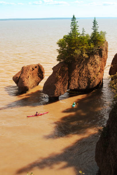 istock Kayakers at Hopewell Rocks 946331854