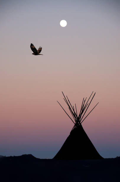 teepee al tramonto con luna piena e falco. - wigwam tent north american tribal culture indigenous culture foto e immagini stock