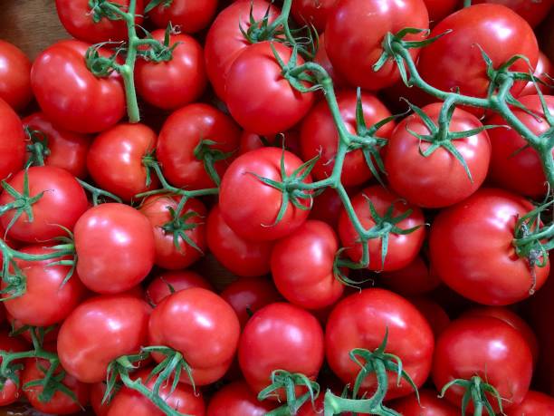 istock Tomatoes in a Farmer's Market 946335948