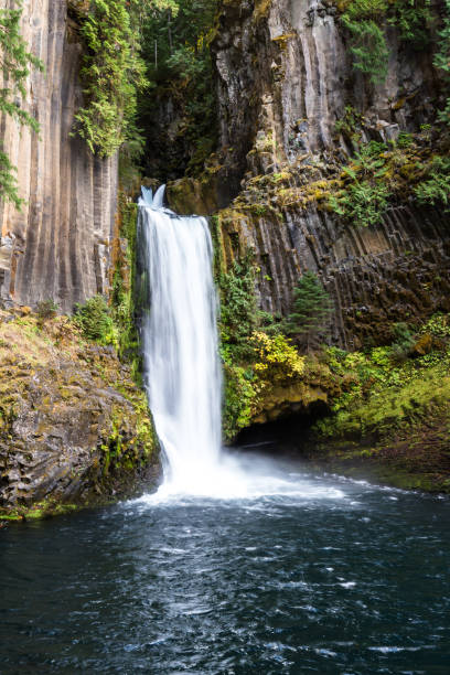 istock Toketee Falls, Oregon 946338678