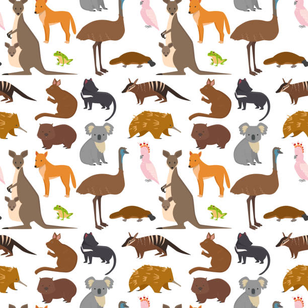 bildbanksillustrationer, clip art samt tecknat material och ikoner med australien vilda djur tecknad populära natur tecken sömlösa mönster bakgrund platt stil däggdjur samling vektorillustration - australia forest background