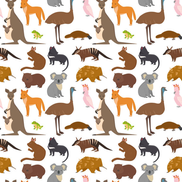 Australia wild animals cartoon popular nature characters seamless pattern background flat style mammal collection vector illustration Australia wild animals cartoon popular nature characters flat style and australian mammal aussie native forest collection vector illustration. Natural seamless pattern background. australian trees stock illustrations