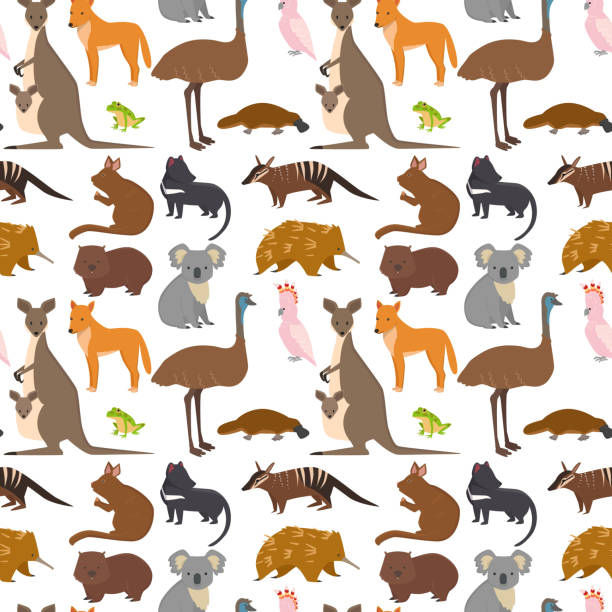 Australia wild animals cartoon popular nature characters seamless pattern background flat style mammal collection vector illustration Australia wild animals cartoon popular nature characters flat style and australian mammal aussie native forest collection vector illustration. Natural seamless pattern background. duck billed platypus stock illustrations