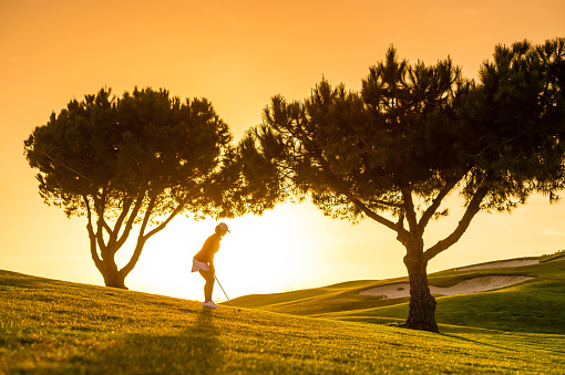 Panorama with a sand bunker on a golf course without people with a row of trees in the background during sunset Belek Turkey.