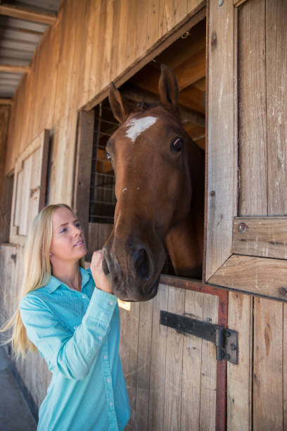 istock Caring for Her Horse 946369054