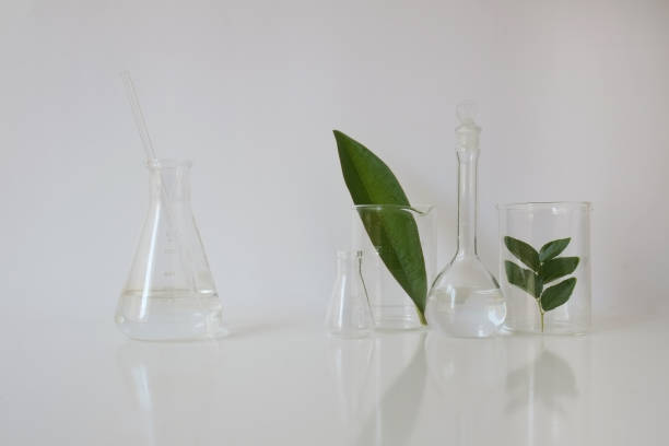 istock laboratory equipment for alternative medicine, science experiments, formulating organic skincare, herbal medicine and natural remedy pharmaceutical. white background 946387768