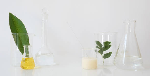 istock laboratory equipment for alternative medicine, science experiments, formulating organic skincare, herbal medicine and natural remedy pharmaceutical.  Natural healthcare and beauty concept.white background. 946387800