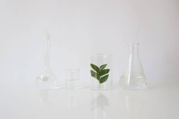 istock laboratory equipment for alternative medicine, science experiments, formulating organic skincare, herbal medicine and natural remedy pharmaceutical. white background 946387824
