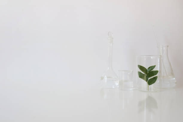 istock laboratory equipment for alternative medicine, science experiments, formulating organic skincare, herbal medicine and natural remedy pharmaceutical. white background 946387826
