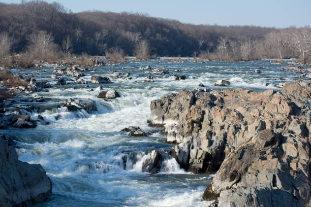 park narodowy great falls - waszyngton - stream day eastern usa falling water zdjęcia i obrazy z banku zdjęć