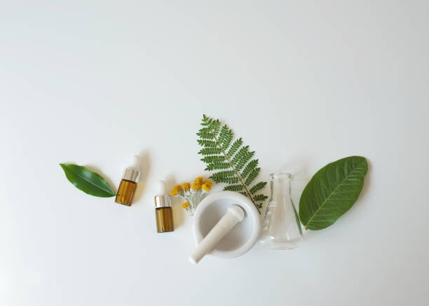 The bio laboratory glassware and blank cosmetic bottle containers with  herbal ingredient, package for branding .Natural organic beauty skincare product concept. alternative medicine.
