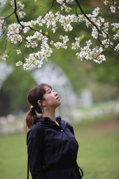 istock Young woman enjoying spring blossoms 946397888