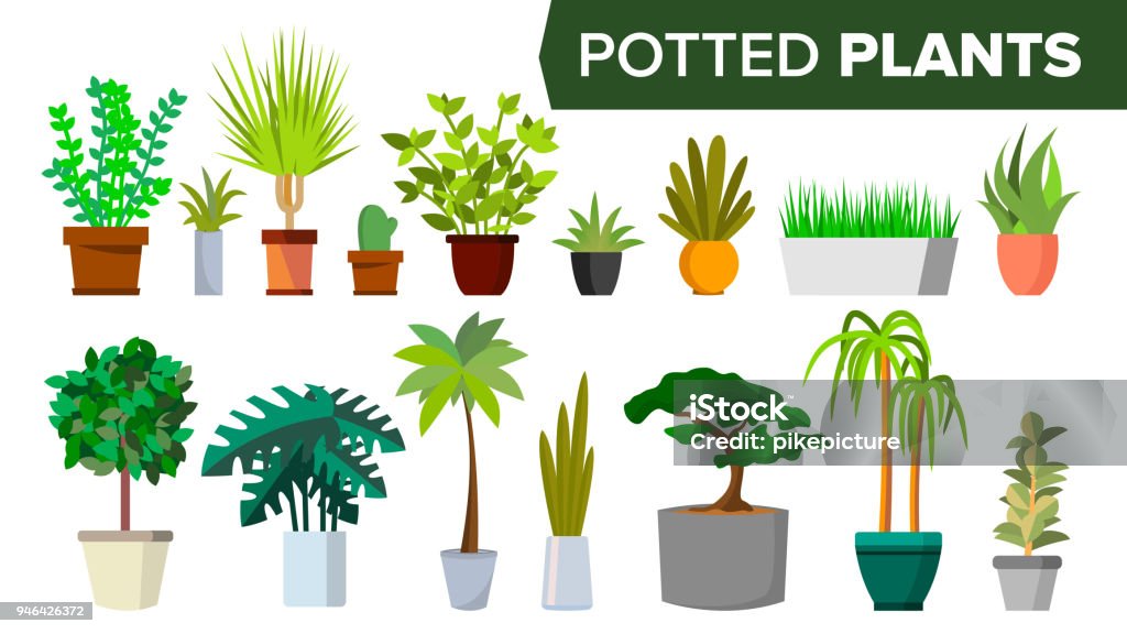 Potted Plants Set Vector. Indoor Home, Office Modern Style Houseplants. Green Color Plants In Pot. Various. Floral Interior Icon. Decoration Design Element. Isolated Flat Illustration Potted Plants Set Vector. Indoor Home, Office Modern Style Houseplants. Green Color Plants In Pot. Various. Floral Interior Icon. Decoration Design Element. Isolated Illustration Plant stock vector