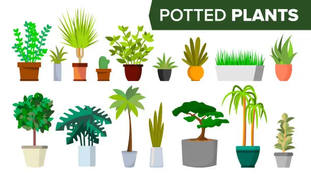 Vector illustration of Potted Plants Set Vector. Indoor Home, Office Modern Style Houseplants. Green Color Plants In Pot. Various. Floral Interior Icon. Decoration Design Element. Isolated Flat Illustration